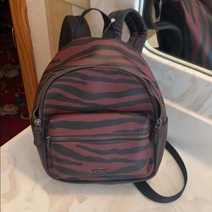 Coach Mini Backpack